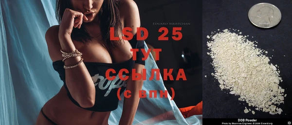 СК Балахна